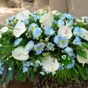 Sky's Embrace Tribute