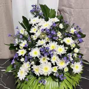 Twilight Serenity Tribute